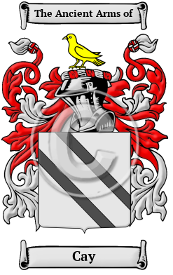 Cay Family Crest Download (JPG) Heritage Series - 600 DPI