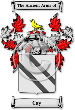 Cay Family Crest Download (JPG) Legacy Series - 600 DPI