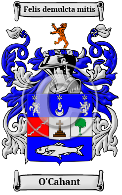 O'Cahant Family Crest Download (JPG) Heritage Series - 300 DPI