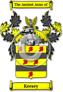Keesey Family Crest Download (jpg) Legacy Series - 150 DPI