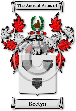 Keetyn Family Crest Download (jpg) Legacy Series - 150 DPI