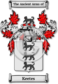 Keetes Family Crest Download (jpg) Legacy Series - 150 DPI