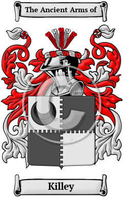 Killey Family Crest Download (jpg) Heritage Series - 150 DPI