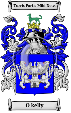 O kelly Family Crest/Coat of Arms