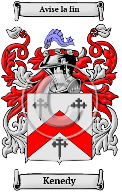 Kenedy Family Crest Download (JPG) Heritage Series - 600 DPI