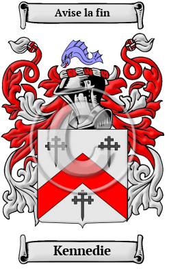 Kennedie Family Crest Download (jpg) Heritage Series - 150 DPI