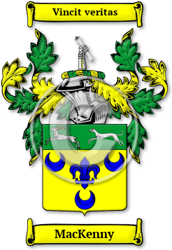 MacKenny Family Crest Download (jpg) Legacy Series - 150 DPI