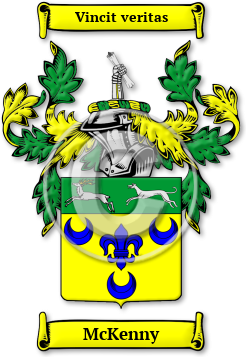 McKenny Family Crest Download (jpg) Legacy Series - 150 DPI