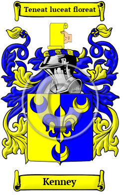 Kenney Family Crest Download (JPG) Heritage Series - 600 DPI