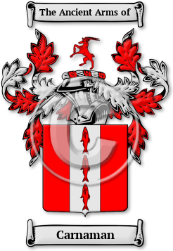 Carnaman Family Crest Download (jpg) Legacy Series - 150 DPI
