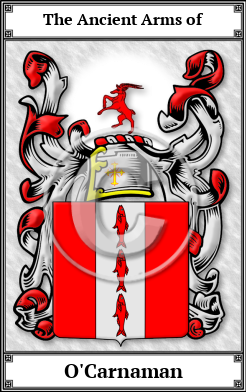 O'Carnaman Family Crest Download (JPG)  Book Plated - 150 DPI