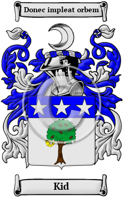 Kid Family Crest Download (JPG) Heritage Series - 600 DPI