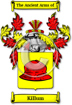 Killum Family Crest Download (JPG) Legacy Series - 600 DPI