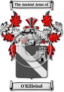 O'Killeind Family Crest Download (jpg) Legacy Series - 150 DPI