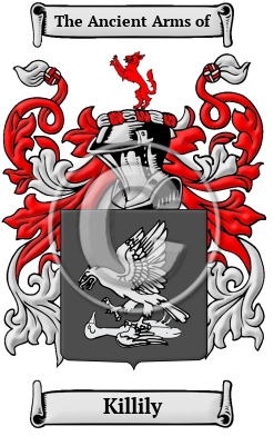 Killily Family Crest/Coat of Arms