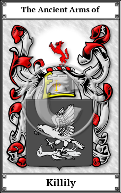 Killily Family Crest Download (JPG) Book Plated - 600 DPI