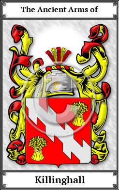 Killinghall Family Crest Download (JPG) Book Plated - 600 DPI