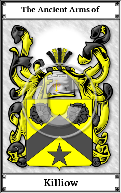 Killiow Family Crest Download (JPG)  Book Plated - 150 DPI