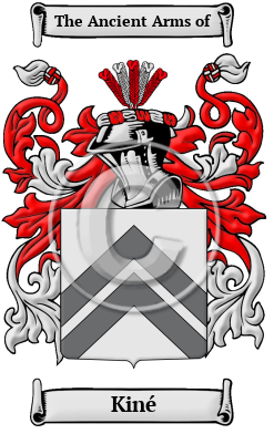 Kiné Family Crest Download (JPG) Heritage Series - 300 DPI