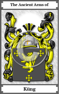 Küng Family Crest Download (JPG) Book Plated - 150 DPI