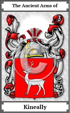 Kineally Family Crest Download (JPG)  Book Plated - 150 DPI