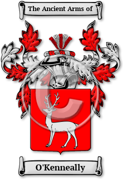 O'Kenneally Family Crest Download (jpg) Legacy Series - 150 DPI