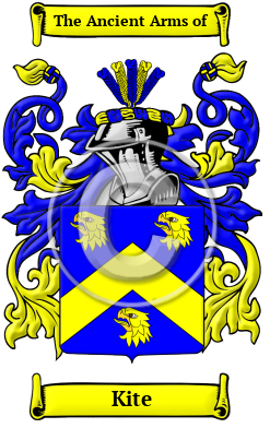 Kite Family Crest Download (JPG) Heritage Series - 600 DPI