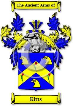 Kitts Family Crest Download (JPG) Legacy Series - 300 DPI