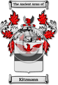 Kitzmann Family Crest Download (jpg) Legacy Series - 150 DPI
