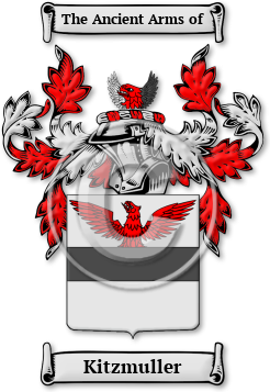 Kitzmuller Family Crest Download (jpg) Legacy Series - 150 DPI