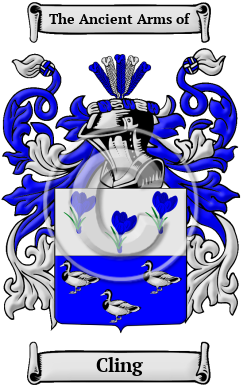 Cling Family Crest Download (JPG) Heritage Series - 600 DPI