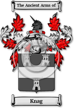 Knag Family Crest Download (jpg) Legacy Series - 150 DPI