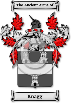 Knagg Family Crest Download (jpg) Legacy Series - 150 DPI