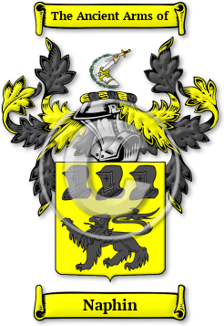 Naphin Family Crest Download (jpg) Legacy Series - 150 DPI