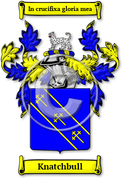 Knatchbull Family Crest Download (jpg) Legacy Series - 150 DPI