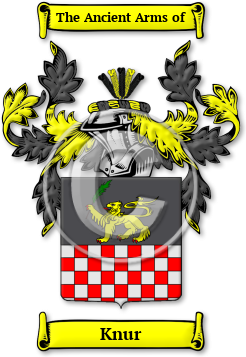 Knur Family Crest Download (JPG) Legacy Series - 600 DPI