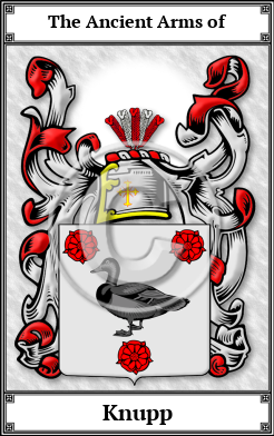 Knupp Family Crest Download (JPG)  Book Plated - 150 DPI