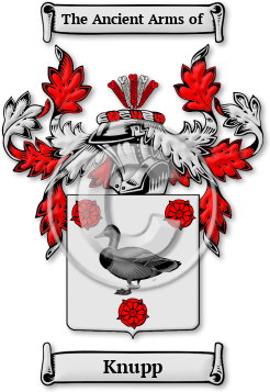 Knupp Family Crest Download (jpg) Legacy Series - 150 DPI