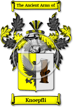 Knoepfli Family Crest Download (jpg) Legacy Series - 150 DPI