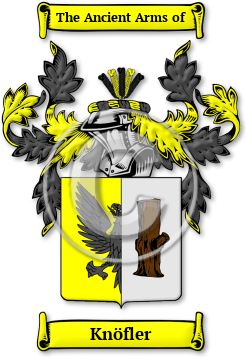 Knöfler Family Crest Download (jpg) Legacy Series - 150 DPI