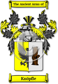 Knöpfle Family Crest Download (JPG) Legacy Series - 600 DPI