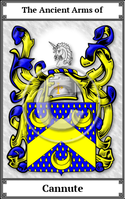 Cannute Family Crest Download (JPG)  Book Plated - 150 DPI
