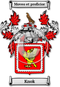 Knok Family Crest Download (jpg) Legacy Series - 150 DPI