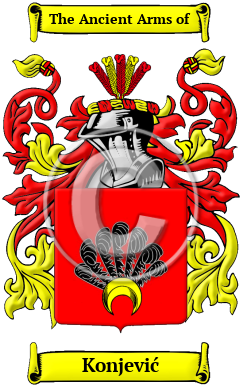 Konjević Family Crest Download (JPG) Heritage Series - 300 DPI