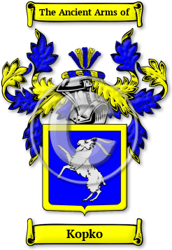 Kopko Family Crest Download (JPG) Legacy Series - 600 DPI