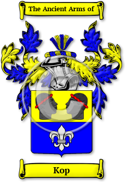 Kop Family Crest Download (jpg) Legacy Series - 150 DPI