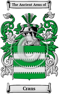 Crans Family Crest Download (JPG) Heritage Series - 600 DPI