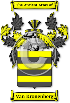 Van Kronenberg Family Crest Download (jpg) Legacy Series - 150 DPI