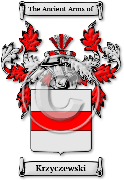 Krzyczewski Family Crest Download (jpg) Legacy Series - 150 DPI