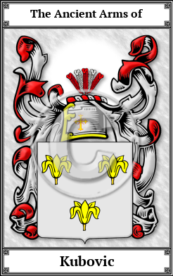 Kubovic Family Crest Download (JPG) Book Plated - 600 DPI